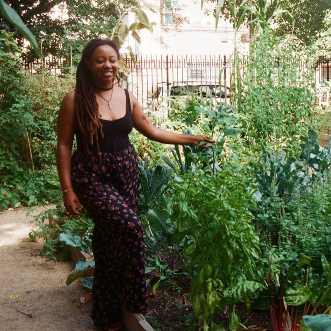 Create Your Own Herbarium: Pressing Plants for Preservation w/ Arvolyn Hill, Sept 15, 530 - 7 pm