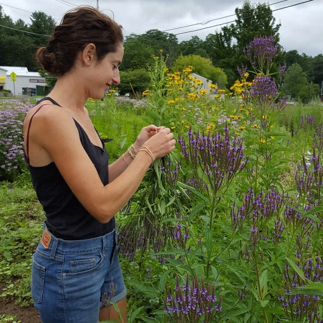 Intro to Somatic Herbalism w/ Susan Pincus, Oct. 28, 2 - 4 pm