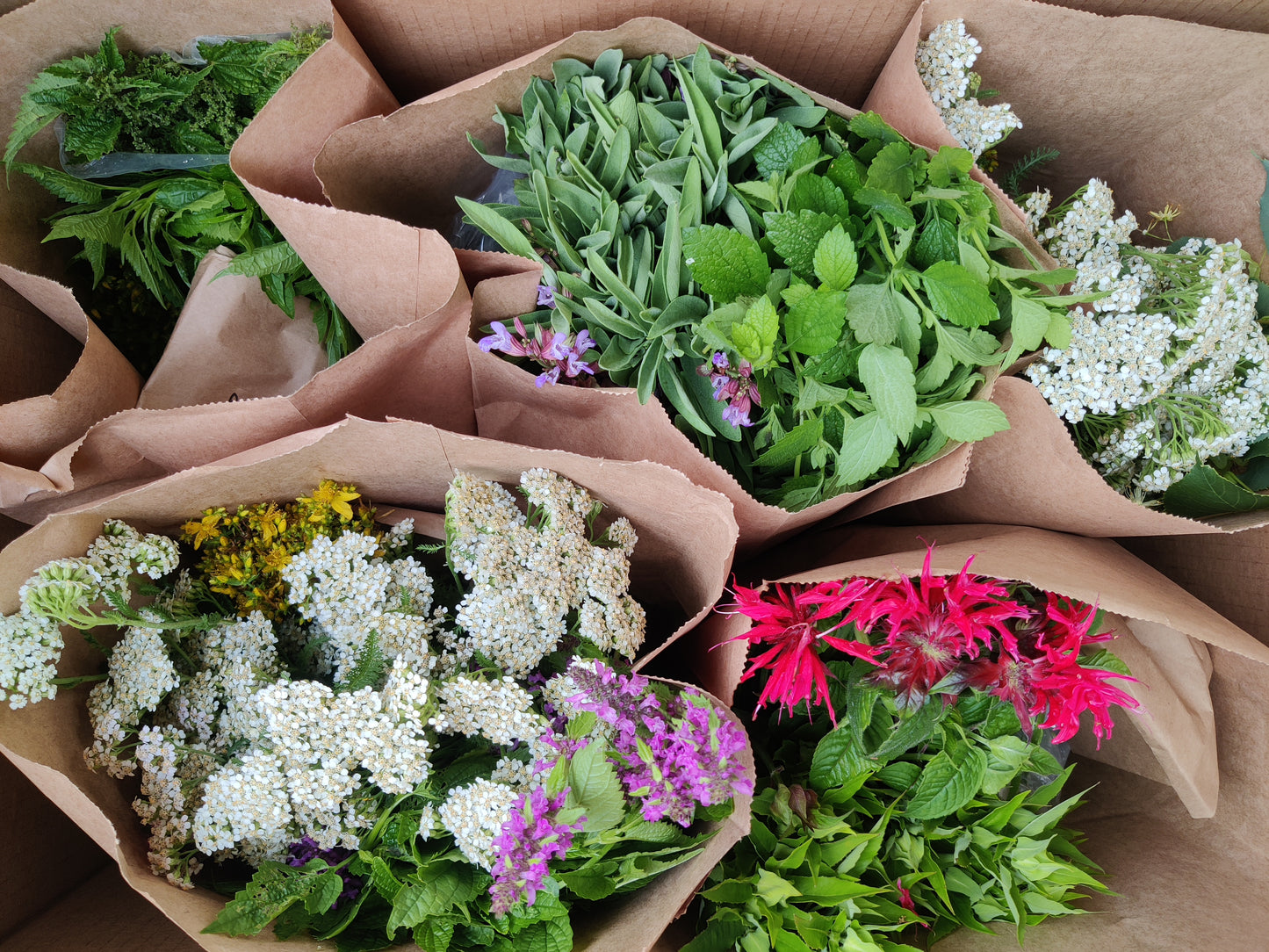 Fresh Herb CSA Share