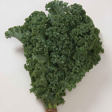 Kale, Green Curly (4-pack)