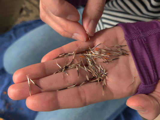 This Work is Changing the World