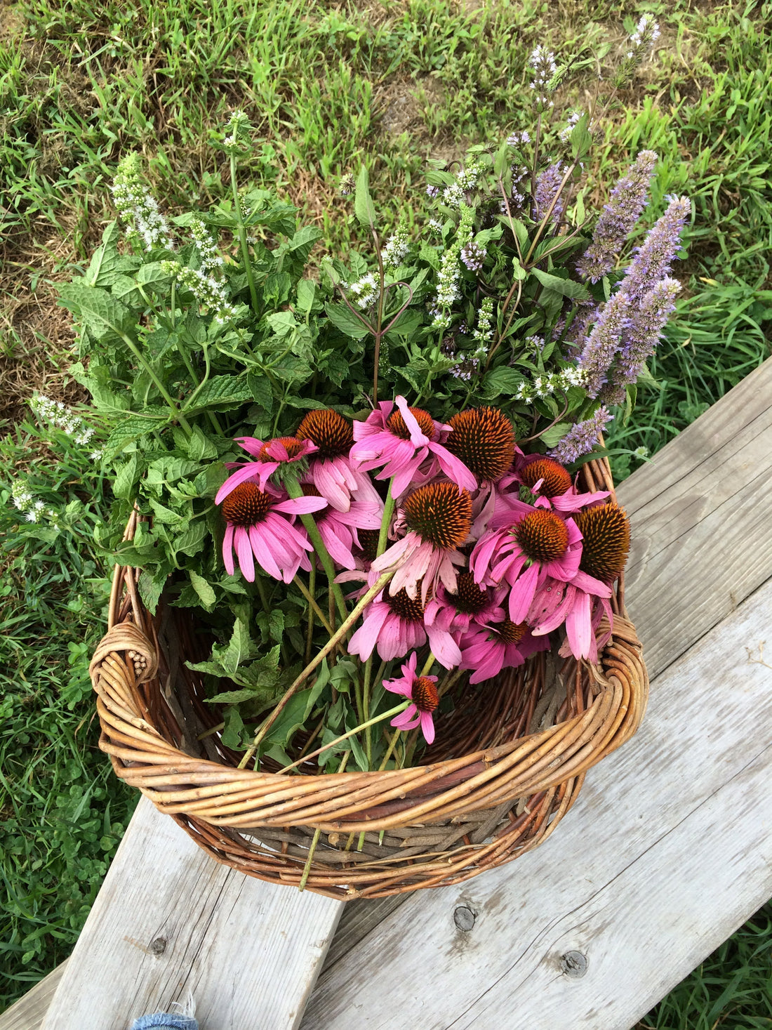 January Resources Wrap