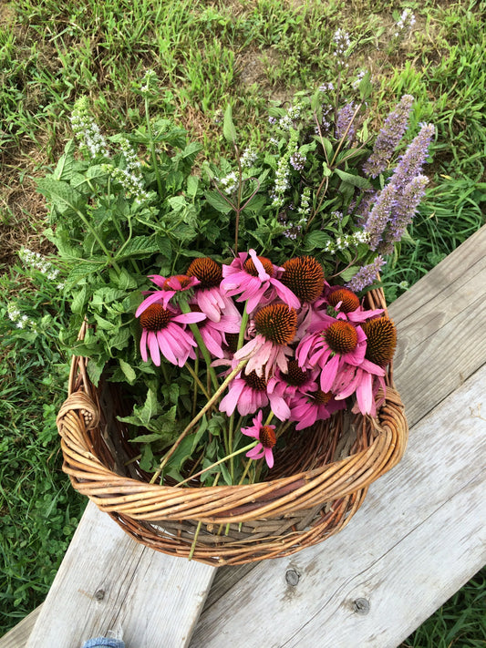 January Resources Wrap