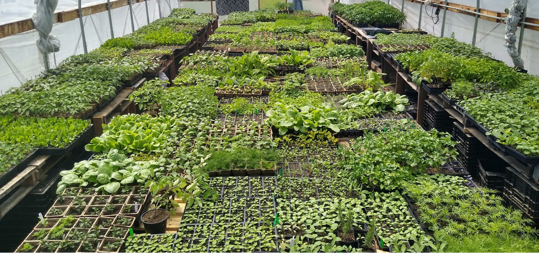 Garden prep checklist: Winter Edition