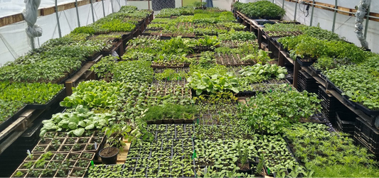 Garden prep checklist: Winter Edition