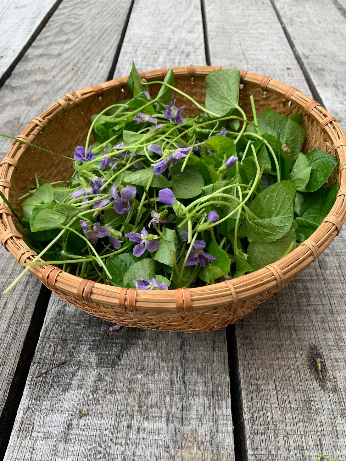 December Resources Wrap