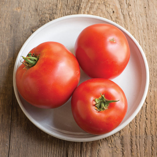 Tomato, Big Beef Red Slicer