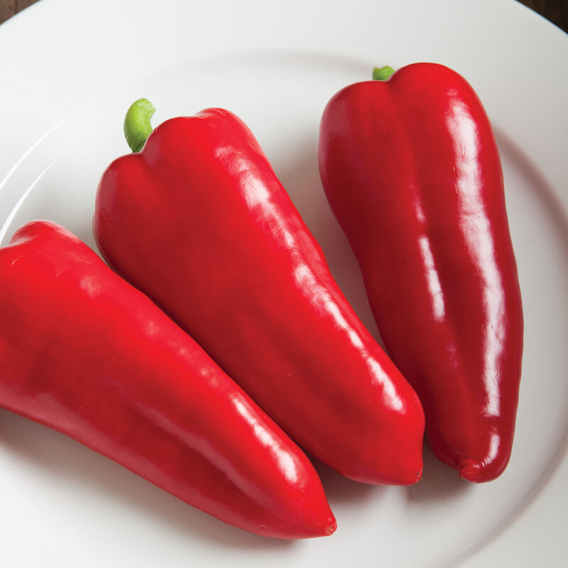 Pepper (Cornito Rosso)