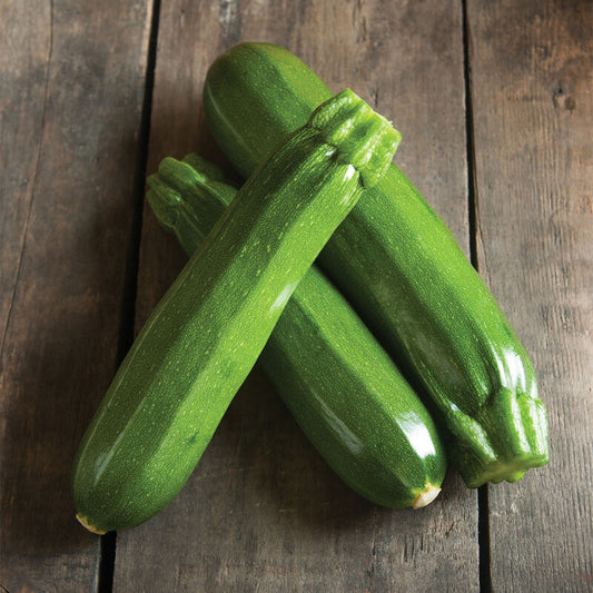 Zucchini, Green