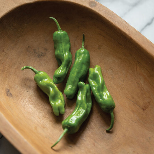 Pepper (Shishito)