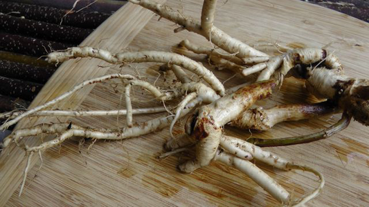 Astragalus root