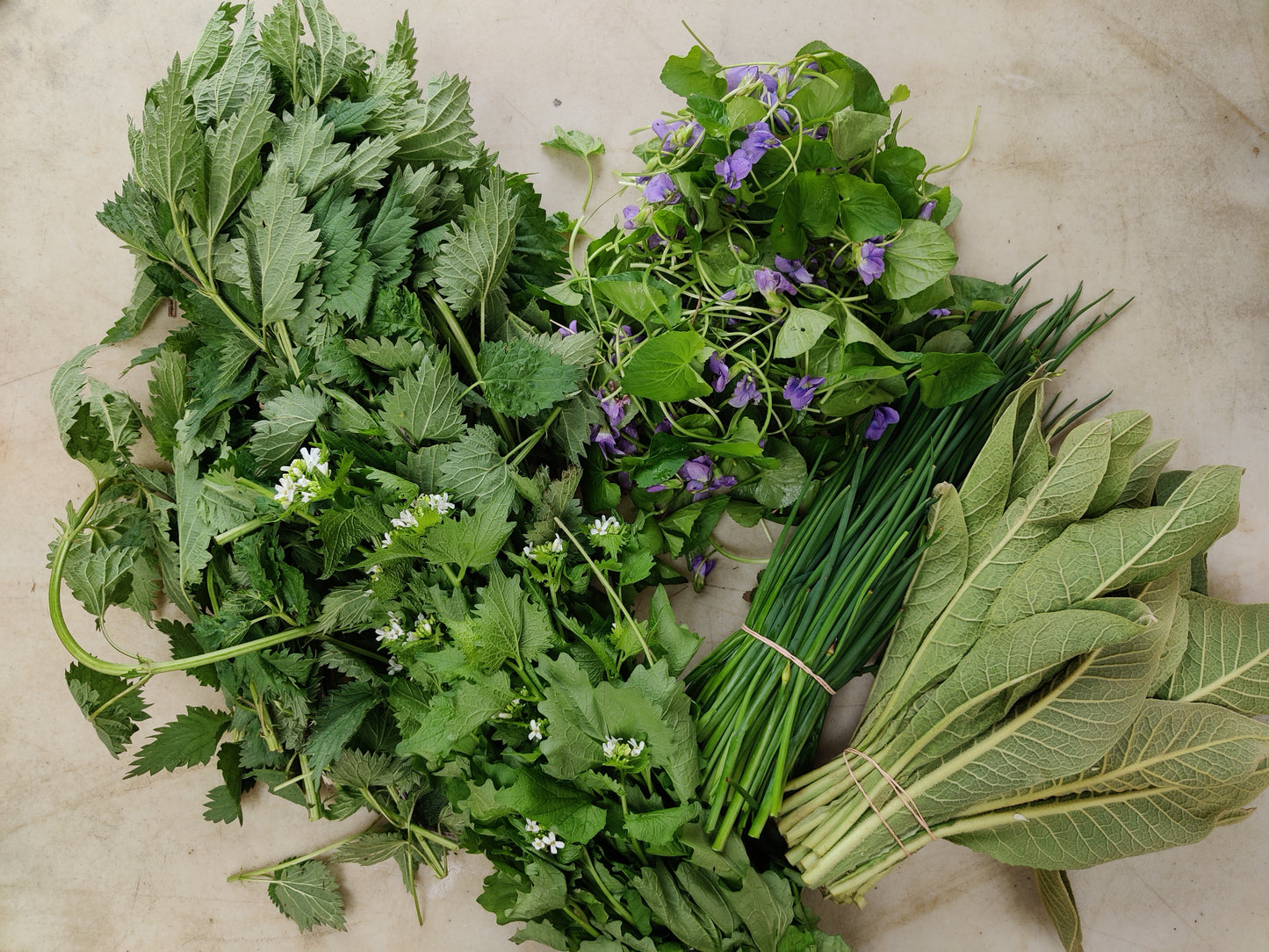Spring Fresh Herbs Add-on Box - May 6 & 7