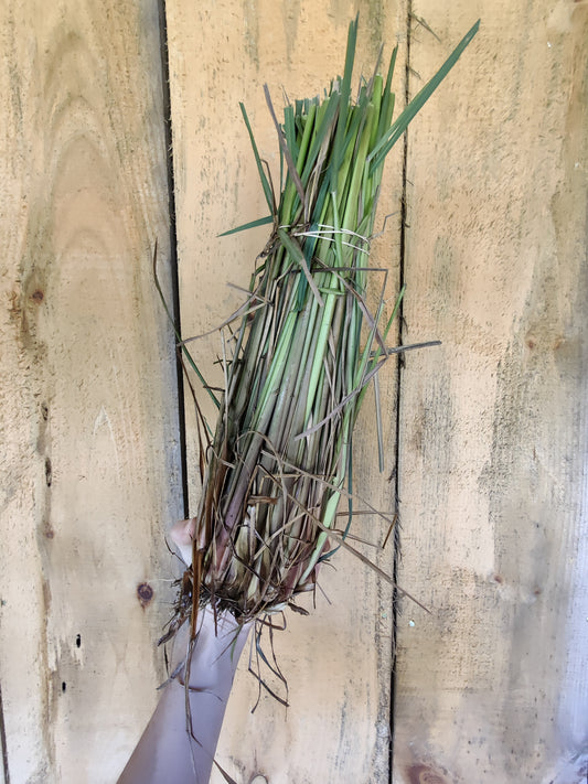 Lemongrass