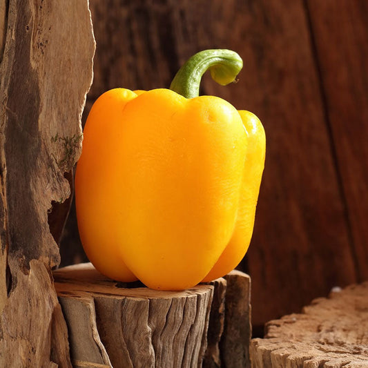 Pepper (Bell)