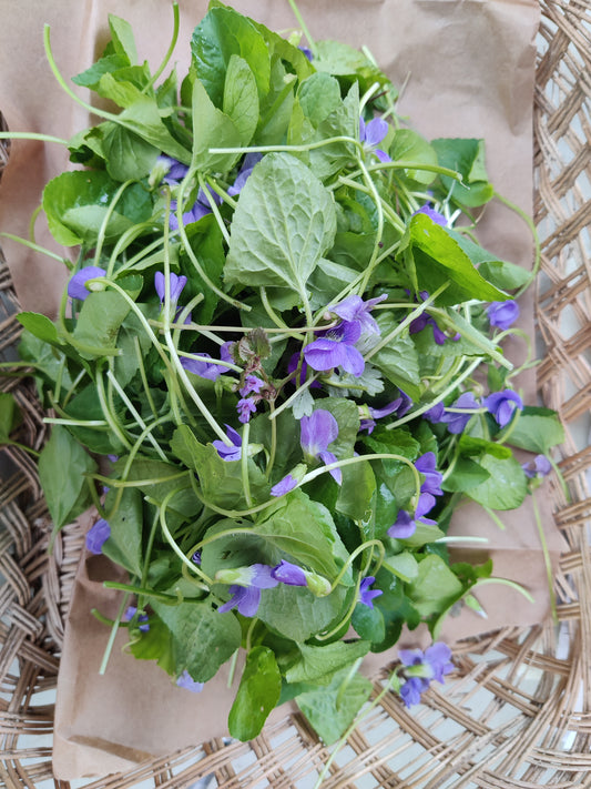 Violet leaf/flower