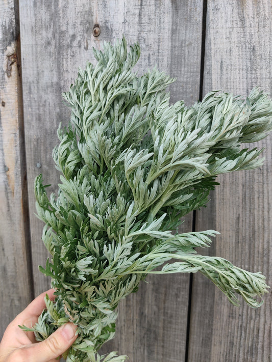 Wormwood