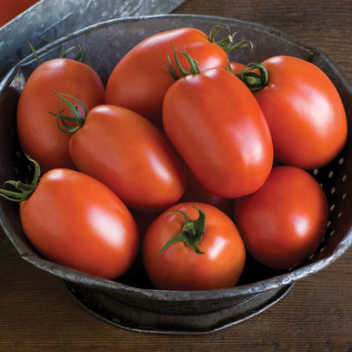 Tomato, San Marzano Paste