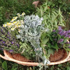 Valley CSA Share