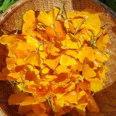 Fresh CSA Share - Farm to Door - Shipped
